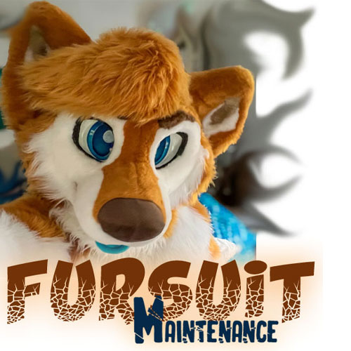 care of a fursuit