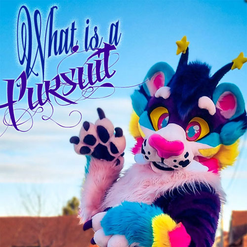 What Is a Fursuit