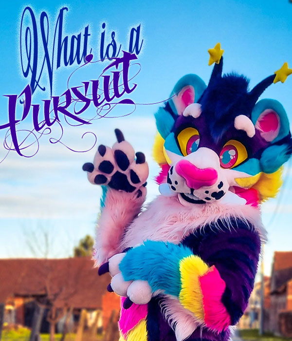 What Is a Fursuit