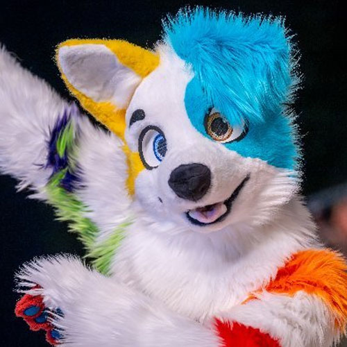 furry quiz