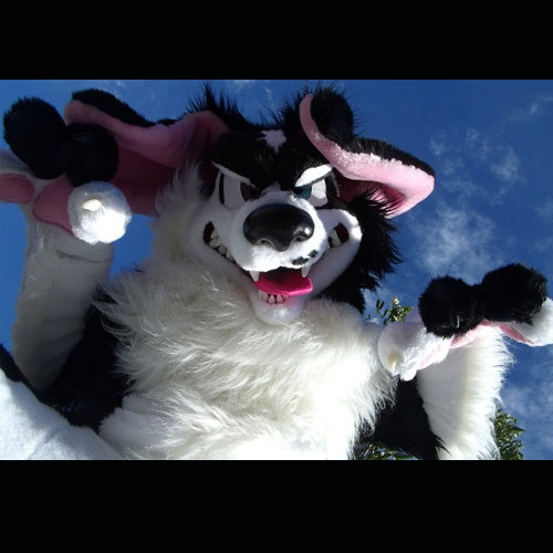 favorite fursuit style
